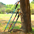 Ridgeline Carbon Trekking Poles (Set of 2) — Cork Grip, Quick-Lock, Adjustable 66–135cm
