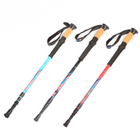 Ridgeline Carbon Trekking Poles (Set of 2) — Cork Grip, Quick-Lock, Adjustable 66–135cm